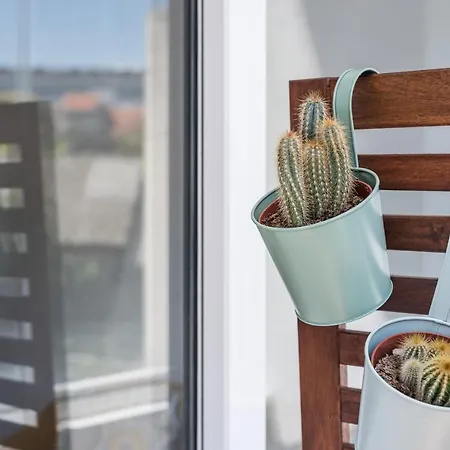 Guestready - O Apartamento Da Musica * Porto